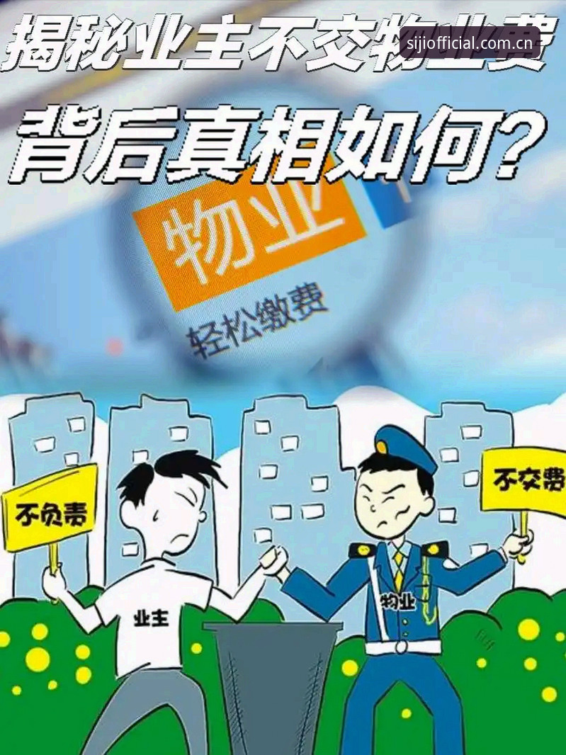 揭秘四季官网安装背后的真相：新手必看的完整操作指南